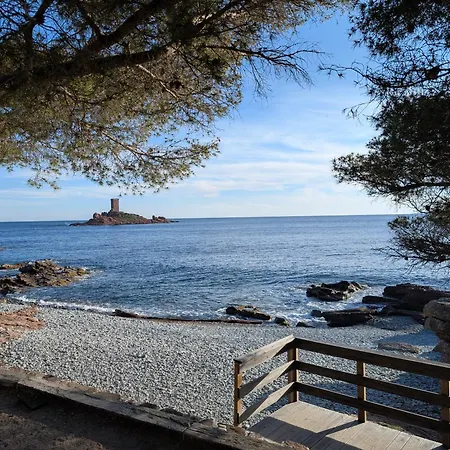 Superbe T2 A 3mn A Pied De La De Cap Long Apartament Saint-Raphaël