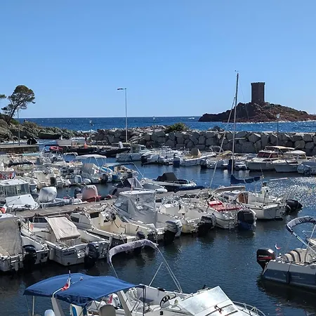 Apartament Superbe T2 A 3mn A Pied De La De Cap Long *